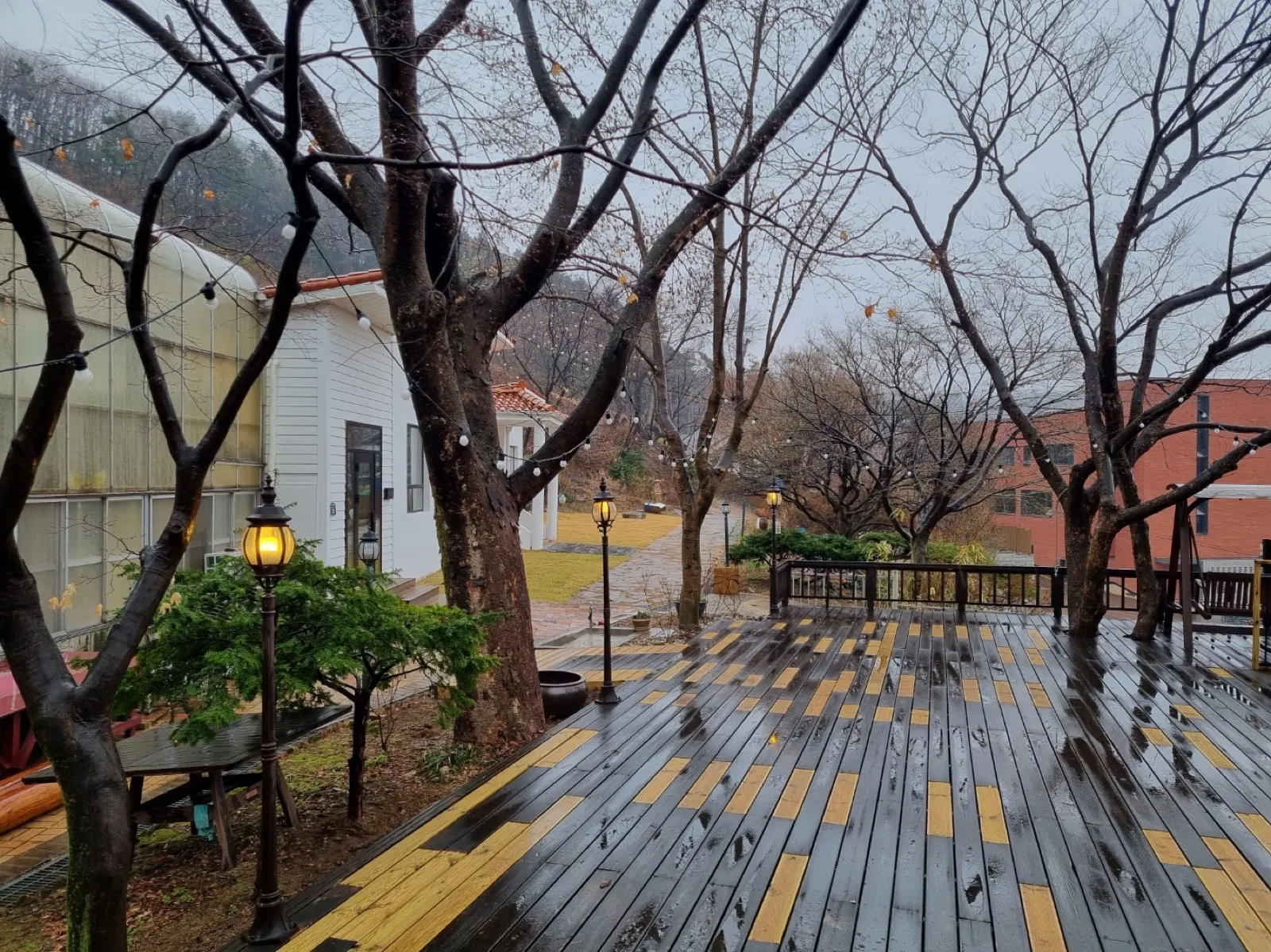 나무 사이로 이어진 나무 데크와 가로등